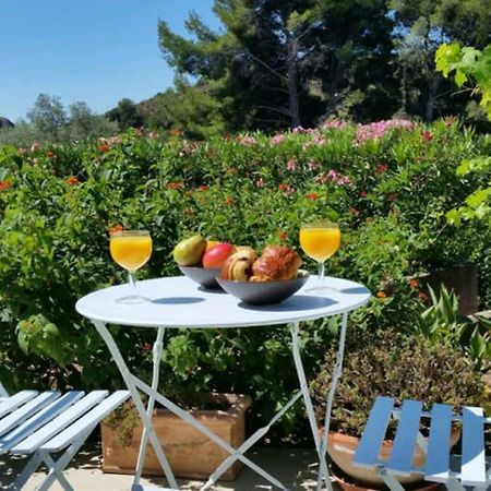 Incredible Apartment Near The Sea And Calanque La Ciotat Exterior photo